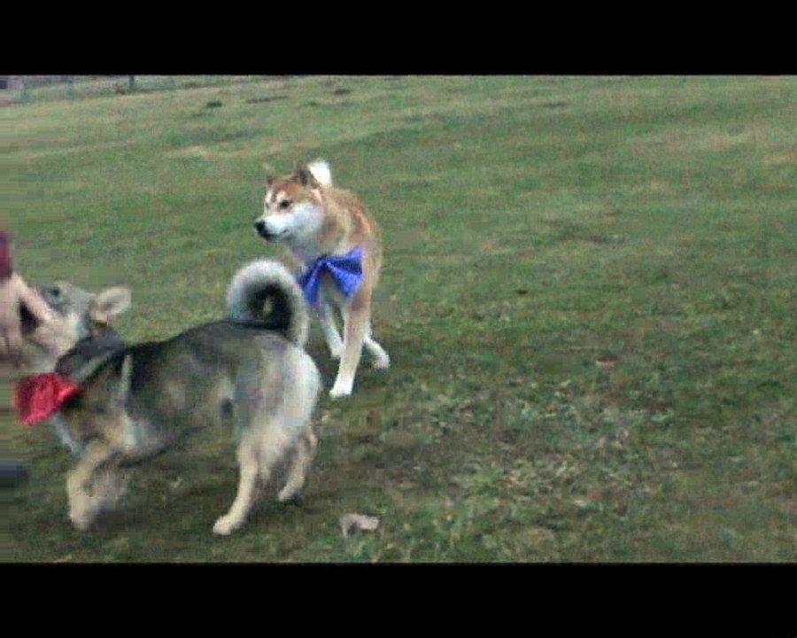 MILLESIME ILLICO JENNA