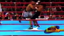 Roy Jones Jr Knockouts & Highlights - Ruff Ryders - HD 60FPS