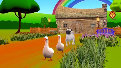 the dog finger family | nursery rhymes farmees | 3d rhymes | kids songs