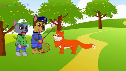 Paw Patrol Baby Obediently Brushing Before Bedtime Full episodes! Paw Patrol Cartoon Movie
