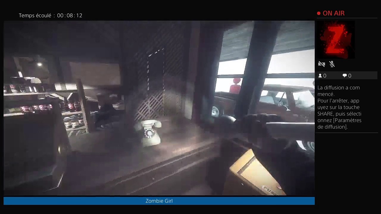 Diffusion PS4 en direct de GIGINAD68 (98)