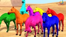 3d horse Colors Songs Collection | Learn, Teach Colours to Toddlers | Preschool Kids Nurse