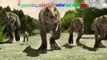 Daddy Finger Song Dinosaurs Finger Family #47 | Finger Family Dinosaur Collection Song and