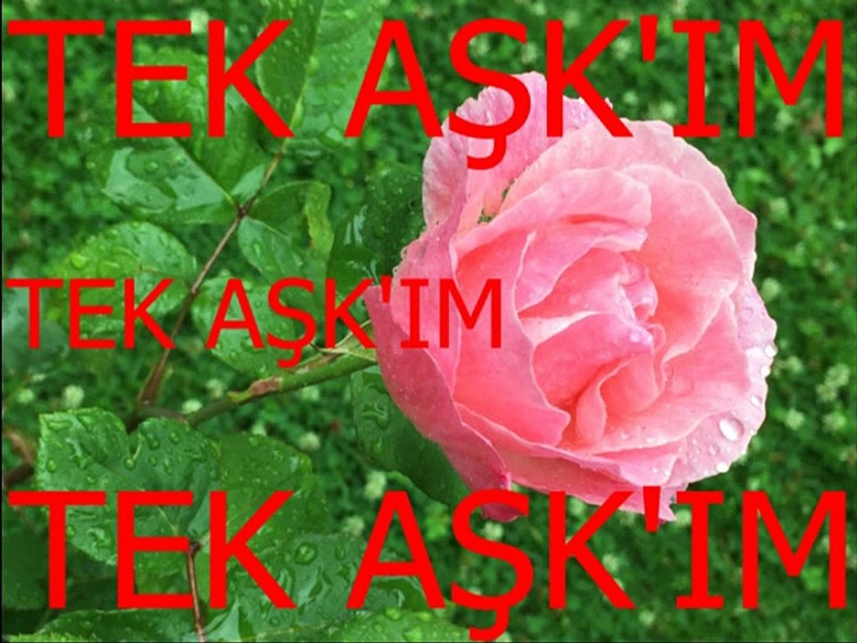 Muazzez Abacı-Ayrılık Ateşten Bir Ok