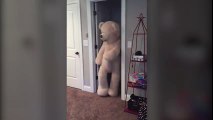 Larger Than Life Bear Has Amazing Dance Moves - American Funny Videos 2017