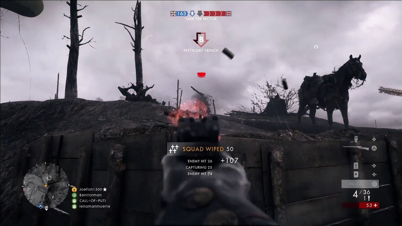 Bf1