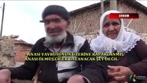 Evi yanmış olmasına rağmen, ölen kedisine ağlayan temiz yürekli dede