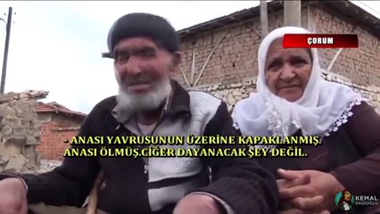 Evi yanmış olmasına rağmen, ölen kedisine ağlayan temiz yürekli dede