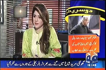 Women's Death Due to PM Nawaz's VIP Protocal Hassan Nisar lashes out at Nawaz Sharif