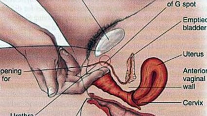 la verdad sobre la eyaculacion femenina