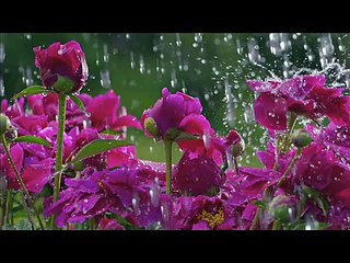 ГРУППА  "СИНОПЛЬ"  -  "НАРИСУЮ  НЕБО"