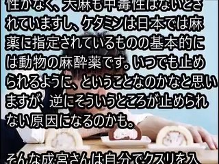 【衝撃】成宮寛貴の壮絶な人生がやばすぎるｗｗｗ芸能界引退の本当の理由！驚愕の裏事情やコカイン以上に隠したかったことが判明