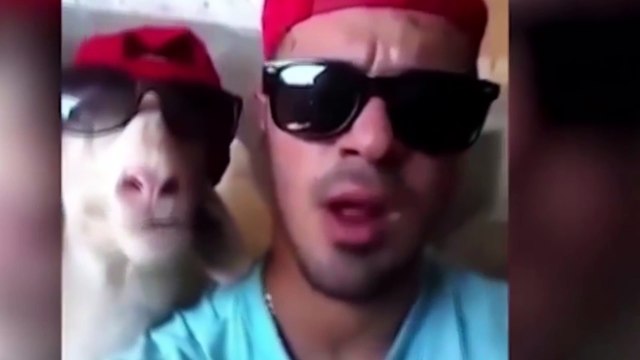 Komik videolar izle gülmekten karnınız ağıracak dikkat ;) Funny videos