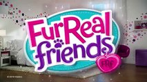 FurReal Friends - Walkin Kitties Bootsie - Hasbro - A4088 - Love Toys