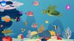 Baby Learn About Sea Animals | Animal Puzzles & Real Video Of The Animals | Educational Ga