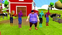 Fat Spiderman 3D Animation Finger Family Cartoons For Children | Dinosaurs Lion Finger Fam