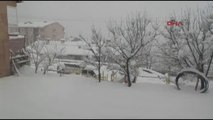Şırnak - Beytüşşebap'da Yağan Kar Yaşamı Olumsuz Etkiledi
