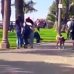 PEGADINHA OLHA A COBRAS