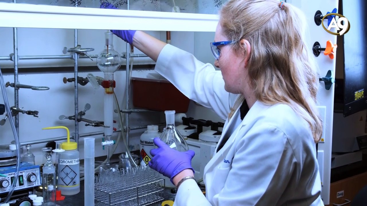 Haeckels falsche Embryonalkonstruktion