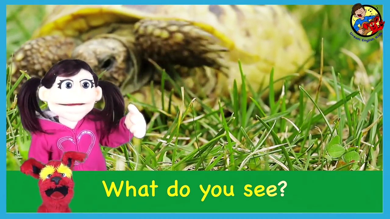 What Do You See? Song | Wild Animals | Learn English Kids