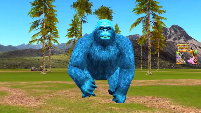 Superheroes Spiderman Hulk Vs Animals Shark Gorilla King Kong Dinosaurs Finger Family Nurs