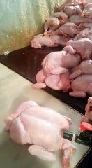 Ce type de poulet que vous mangez est rempli de produits chimiques dangereux !