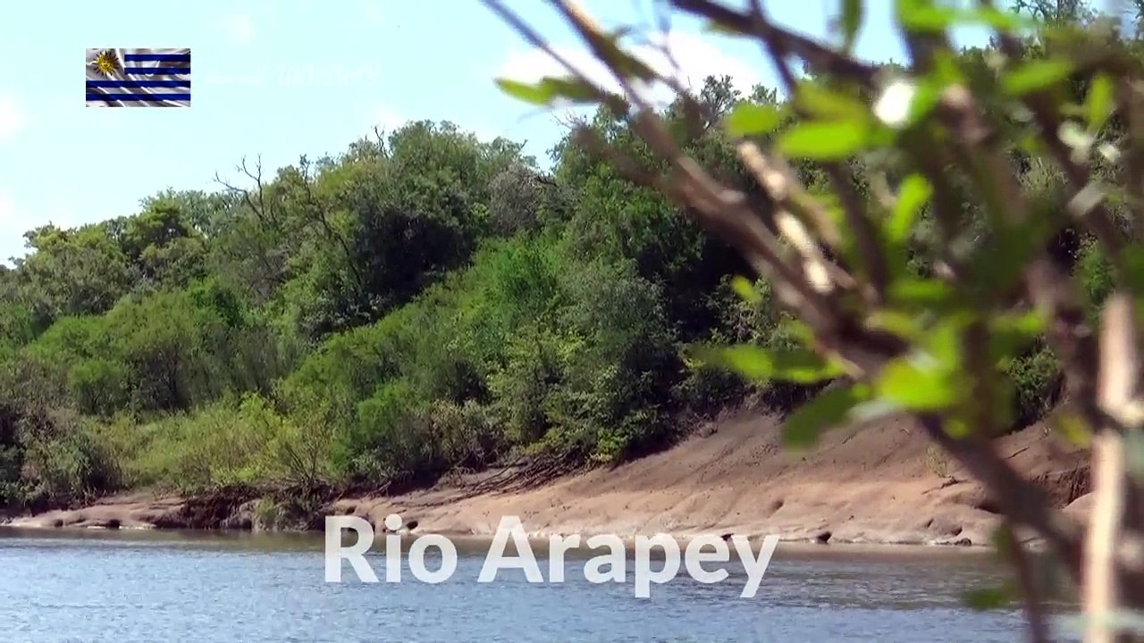 Arapey