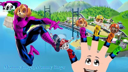 #Paw Patrol #Spider Man #Finger Family Songs #Nursery Rhymes Lyric & More Panda Kids