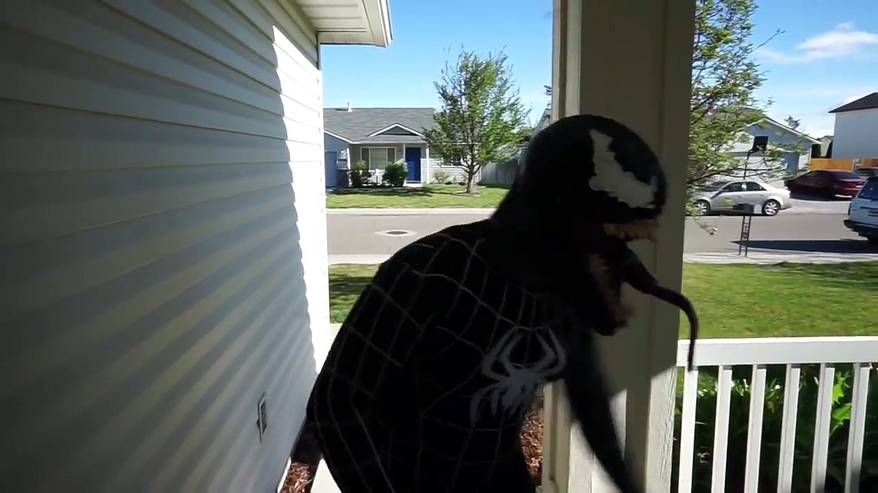 Spiderman Vs King Kong / Gorilla | Black Spiderman turns into Gorilla In Real Life Movie!: