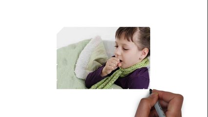 0816574300 Jual Madu Anak Teluk Bintuni