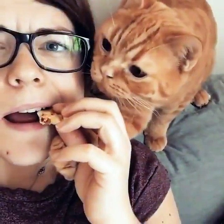 ‪Cute cat -