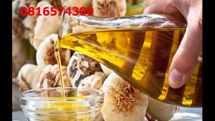 081-657-4300 (Indosat) Jual Minyak Zaitun Pulau Morotai