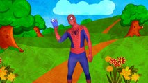 Superheroes finger family rhymes. Collection of finger family Spiderman and Elza Story for