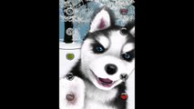 My Talking Tom Vs Talking Husky Dog Vs Sophia - My Little Sis || Android Gameplay HD