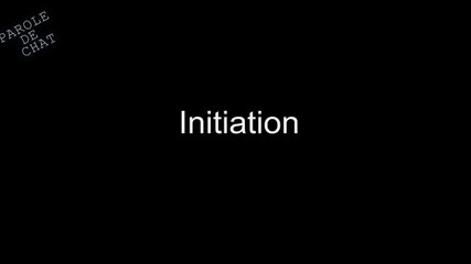 KARATÉ CAT - PAROLE DE CHAT-1l5xp_d7_jA