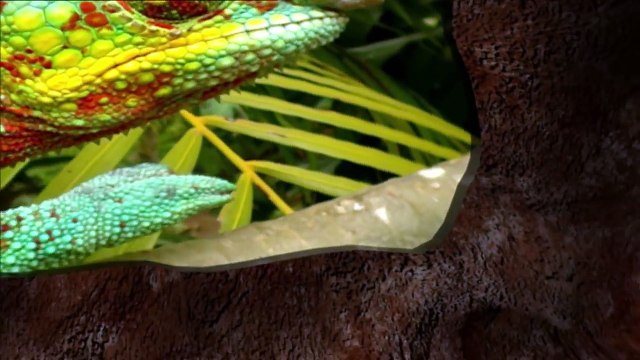 Los herederos de Gengis Kan - ¡Ahora en alta calidad! (Documental completo)