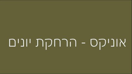 הרחקת יונים - זו הכתובת שלכם