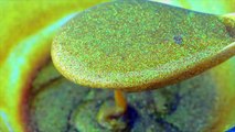 DIY How To Make Super Sparkle Glitter Golden Slime-0NB0AN