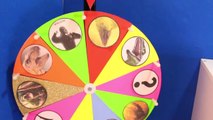 King KONG SKULL ISLAND vs DINOSAURS GAME Surprise Toys Jurassic World Slime Wheel Kids Games-gC7v_pBij