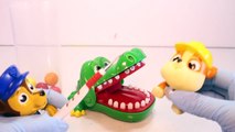 Paw Patrol Games Crocodile Dentist Challenge Game with Surprise Toys Kids Videos-as4gF0V-B