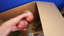 DINOSAURS What's in the Box Toy Dinosaur GIVEAWAY CONTEST Win Dinosaurs   Surprise Eggs Video-U8y