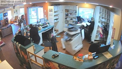 Car crashes through Animal Hospital Lobby