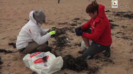 Plouharnel     |    Nettoyage plage Ste Barbe  |  TV Quiberon 24/7