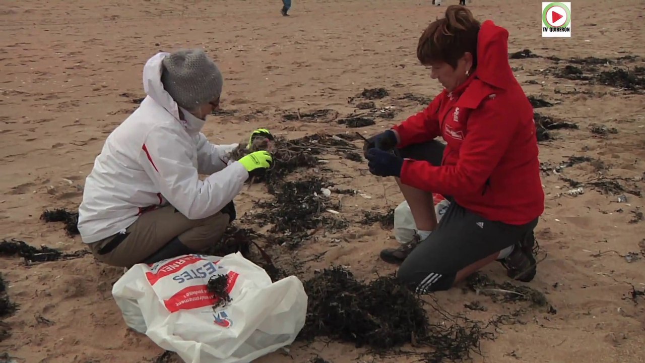 Plouharnel     |    Nettoyage plage Ste Barbe  |  TV Quiberon 24/7
