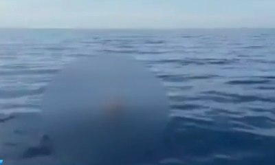 2 Hari Hilang di Sungai, Pria Paruh Baya Ditemukan