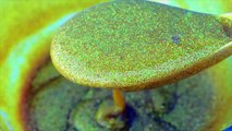 DIY How To Make Super Sparkle Glitter Golden Slime-0NB