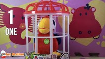 NEW Club Petz CHARLIE FUNNY TALKIE Talking Parrot Bird Plush Toy Review IMC Blu Blu Dolphi
