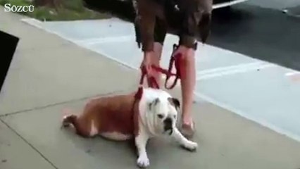 Pazartesi sabahı...