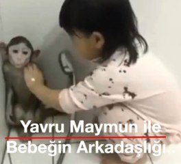 Küçük Kızın Maymunla Olan Dostluğu Şaşırttı
