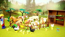 PLAYMOBIL Country Farm Animals Pen and Hen House Building Set Build Review-dGplr